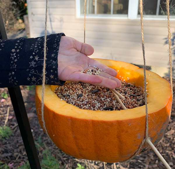 Pumpkin Bird Feeder – Fun Fall Family&nbsp;Activity